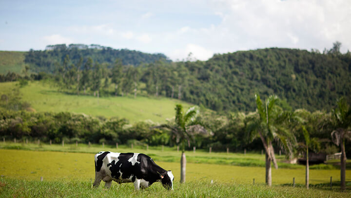 Nutrição Animal - Agroceres Multimix