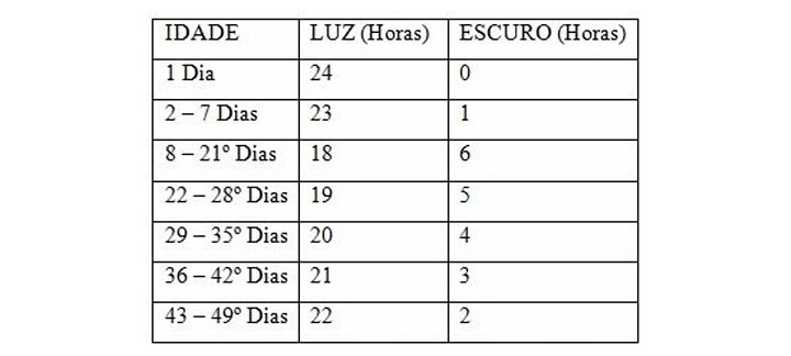 Iluminação Adequada - Nutrição Animal - Agroceres Multimix Iluminação Adequada - Nutrição Animal - Agroceres Multimix