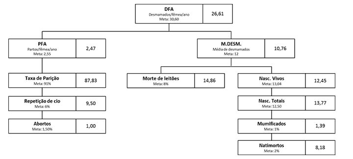 Gestão da Informação - Nutrição Animal - Agroceres Multimix Gestão da Informação - Nutrição Animal - Agroceres Multimix