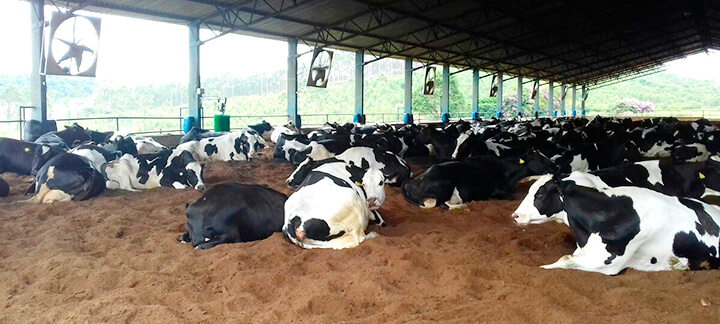 Compostagem - Nutrição Animal - Agroceres Multimix Compostagem - Nutrição Animal - Agroceres Multimix