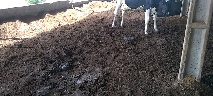 Compostagem - Nutrição Animal - Agroceres Multimix Compostagem - Nutrição Animal - Agroceres Multimix