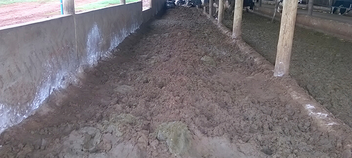 Compostagem - Nutrição Animal - Agroceres Multimix Compostagem - Nutrição Animal - Agroceres Multimix