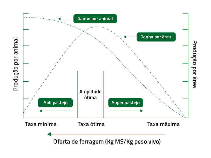 Taxa de Lotação | Nutrição Animal - Agroceres Multimix Taxa de Lotação | Nutrição Animal - Agroceres Multimix