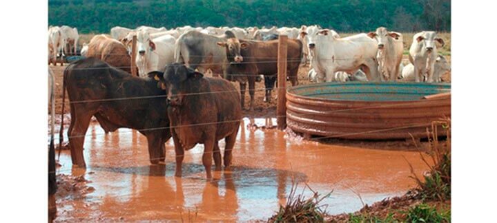 Post: Fornecimento de Água - Bebedouro com más condições de acesso. Post: Fornecimento de Água - Bebedouro com más condições de acesso.