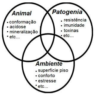 Laminite - Nutrição Animal Agroceres Multimix Laminite - Nutrição Animal Agroceres Multimix
