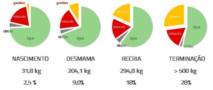 Suplementação - Agroceres Multimix Nutrição Animal Suplementação - Agroceres Multimix Nutrição Animal