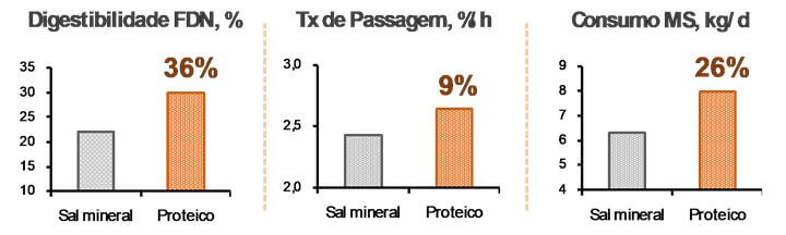 proteinado