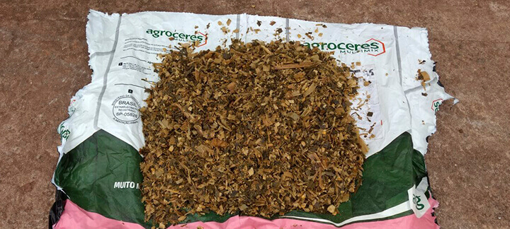 Amostra de silagem Amostra de silagem