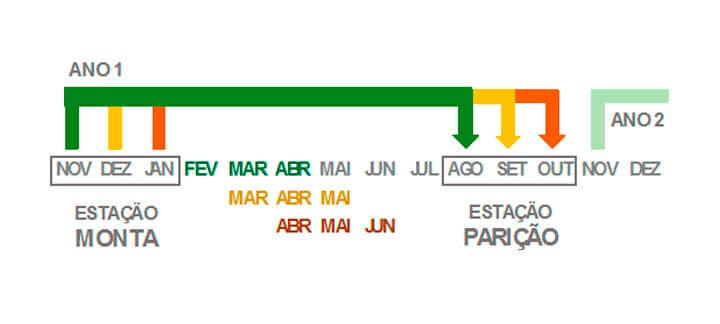 Post: Programação Fetal. Simulação de diferentes períodos de EM e os meses que se encaixam o 1/3 médio da gestação Post: Programação Fetal. Simulação de diferentes períodos de EM e os meses que se encaixam o 1/3 médio da gestação