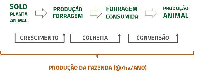 Adubar | Nutrição Animal - Agroceres Multimix Adubar | Nutrição Animal - Agroceres Multimix