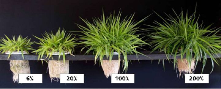 Adubar | Nutrição Animal - Agroceres Multimix Adubar | Nutrição Animal - Agroceres Multimix