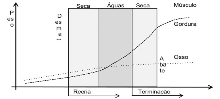 ganho compensatório ganho compensatório