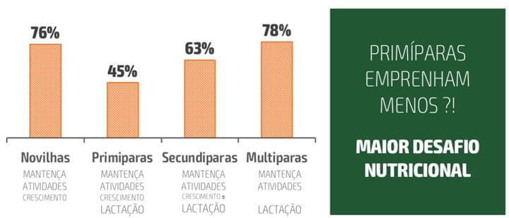 nutrição seletiva nutrição seletiva