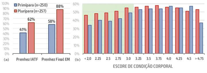nutrição seletiva nutrição seletiva
