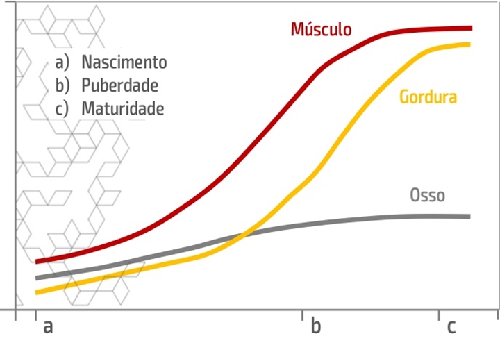 dieta de crescimento dieta de crescimento
